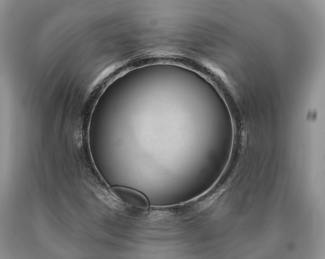 X0000090481306200707201407