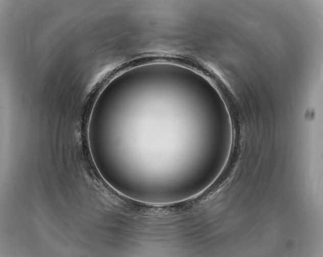 X0000090481307200707201407