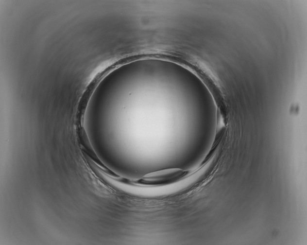 X0000090481308200707201407