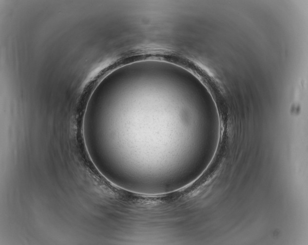 X0000090481309200707201407