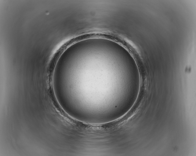 X0000090481310200707201407