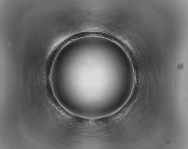 X0000090481311200707201407