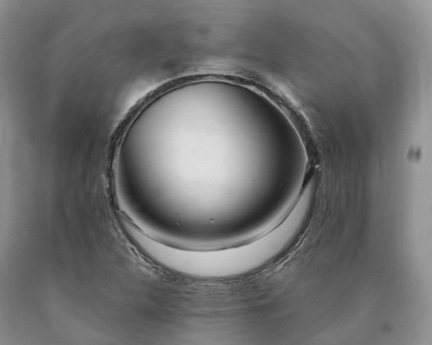 X0000090481312200707201407