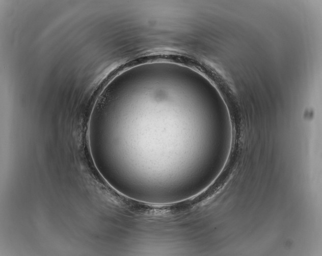 X0000090481313200707201407