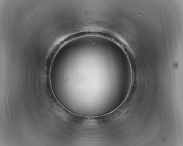 X0000090481315200707201407