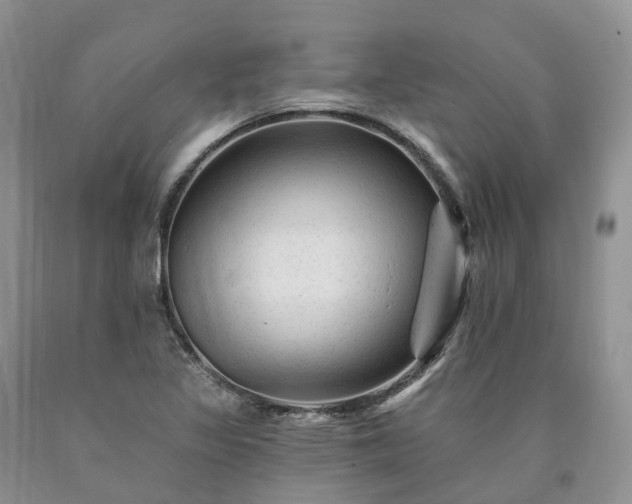 X0000090481317200707201407