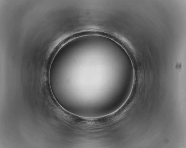 X0000090481318200707201407