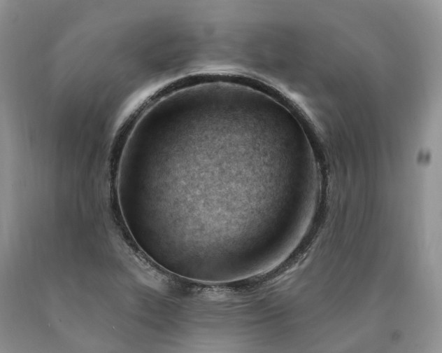 X0000090481319200707201407