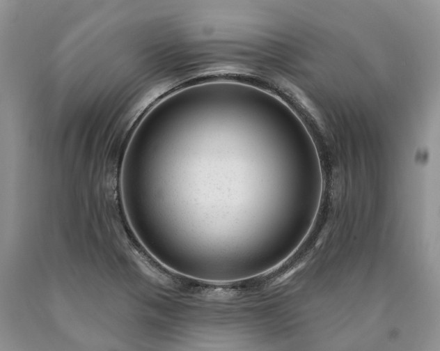 X0000090481321200707201407