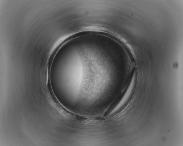 X0000090481323200707201407