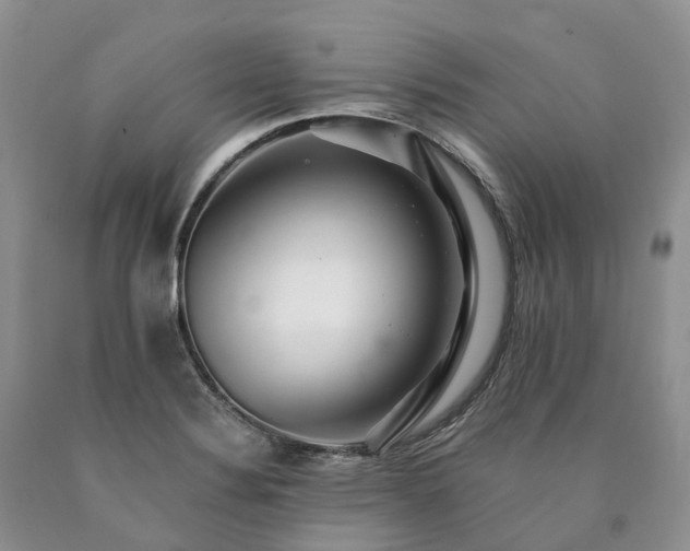 X0000090481324200707201407