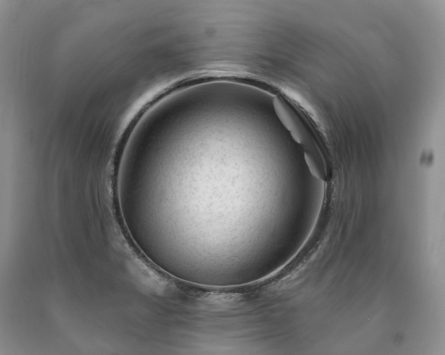 X0000090481325200707201407