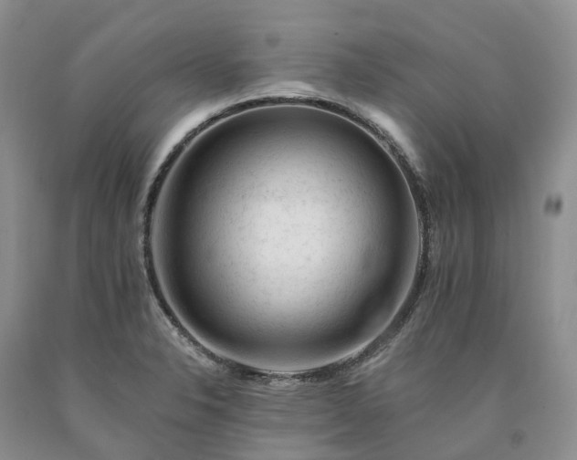 X0000090481326200707201407