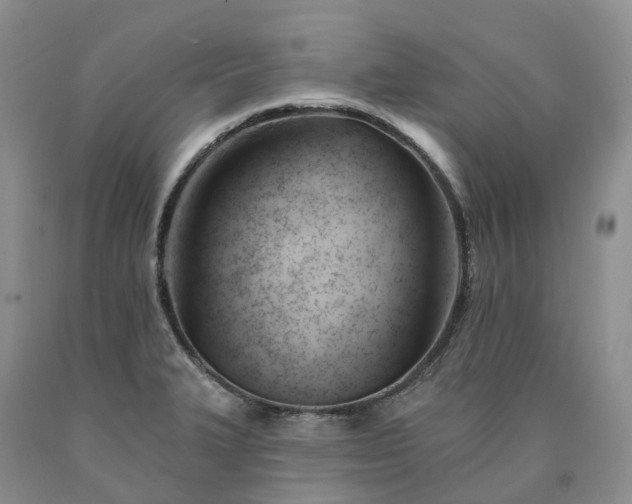 X0000090481327200707201407