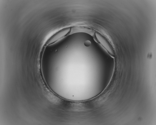 X0000090481328200707201407