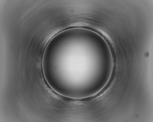 X0000090481329200707201407