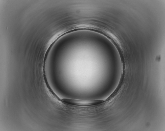 X0000090481330200707201407