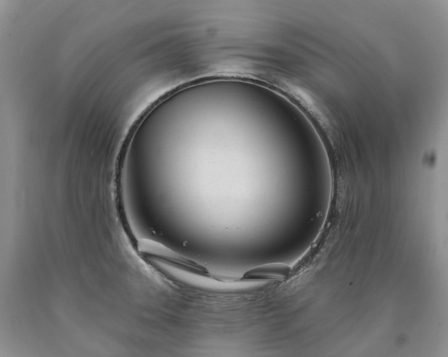 X0000090481331200707201407