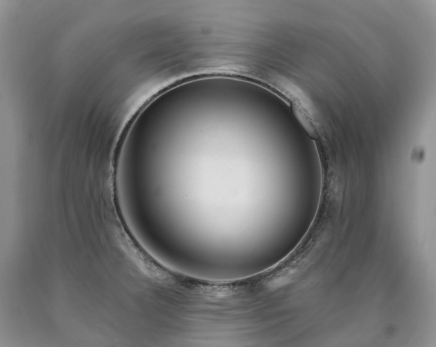 X0000090481332200707201407
