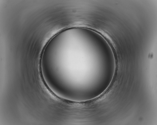 X0000090481333200707201407