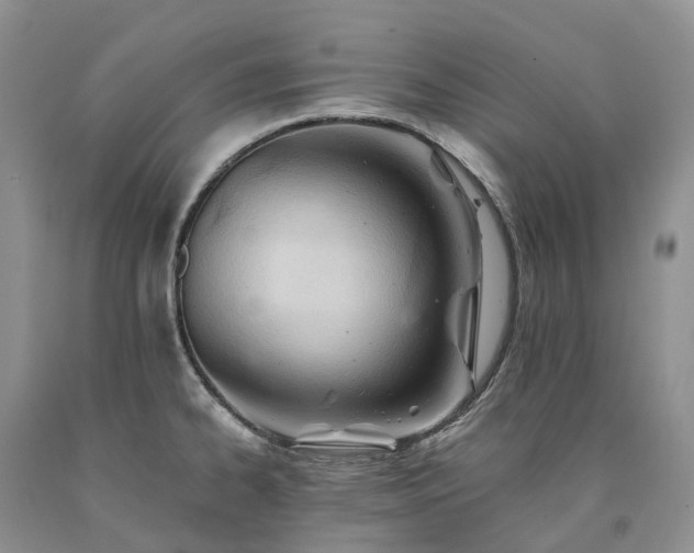 X0000090481334200707201407