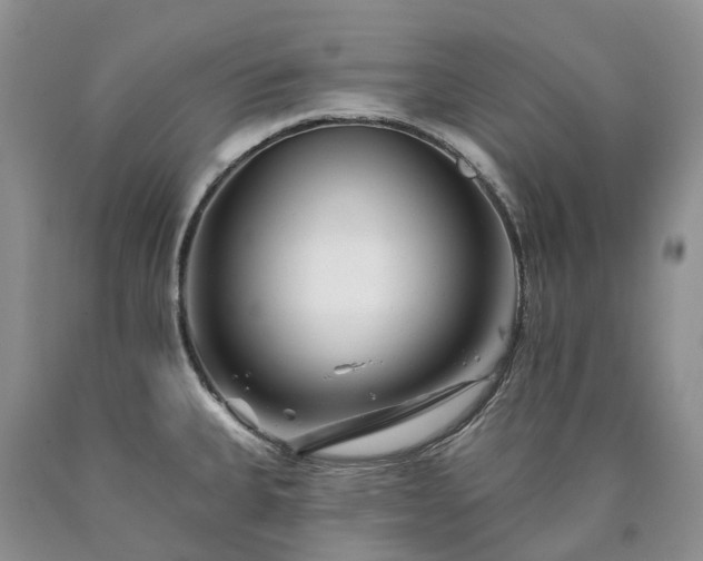 X0000090481335200707201407