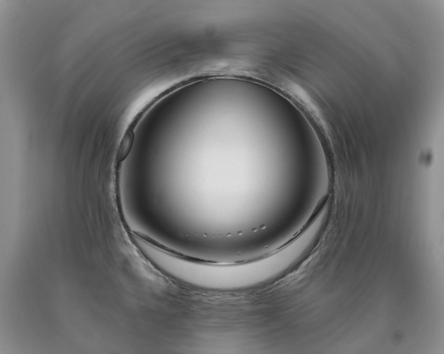 X0000090481336200707201407
