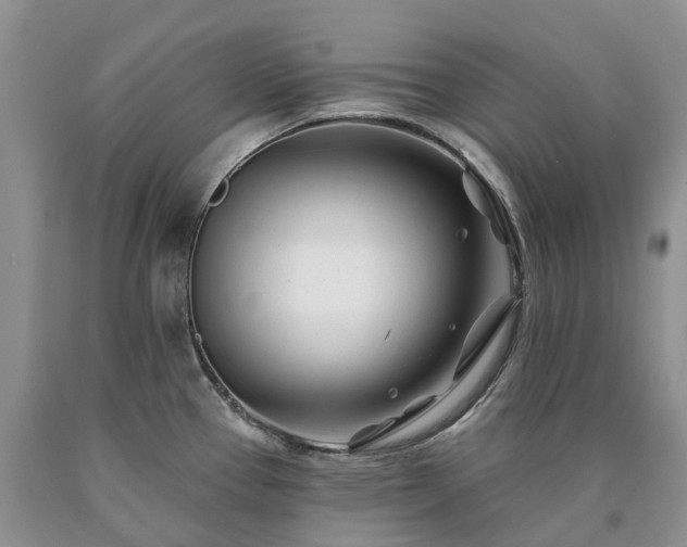 X0000090481337200707201407