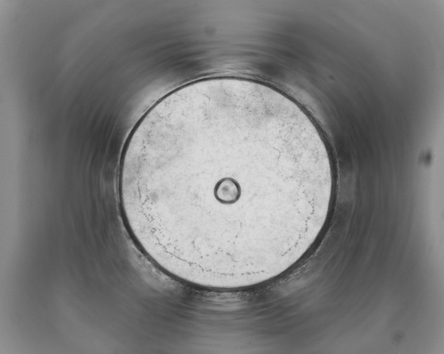 X0000090481338200707201407