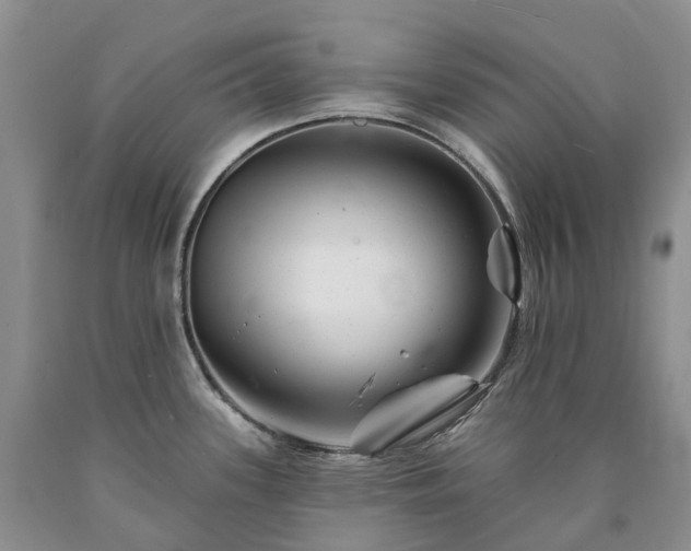 X0000090481339200707201407