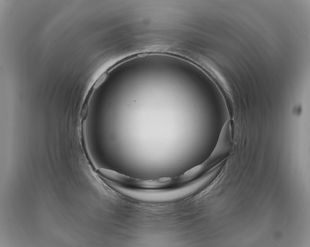 X0000090481340200707201407