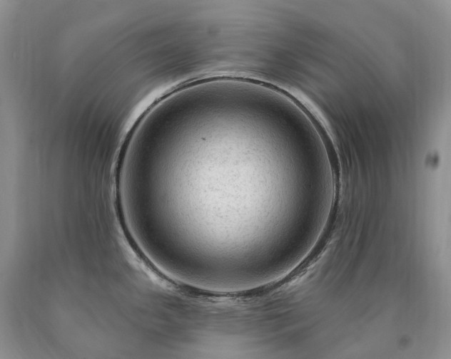 X0000090481341200707201407