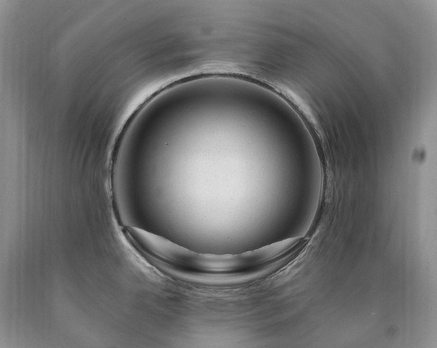 X0000090481342200707201407