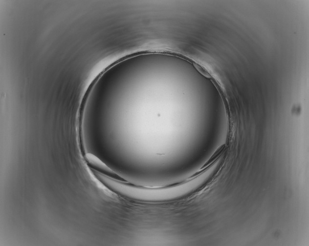 X0000090481343200707201407