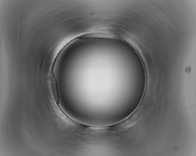 X0000090481344200707201407