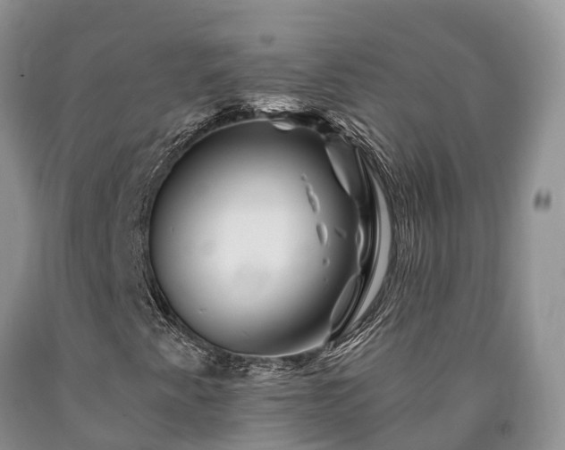 X0000090481345200707201407