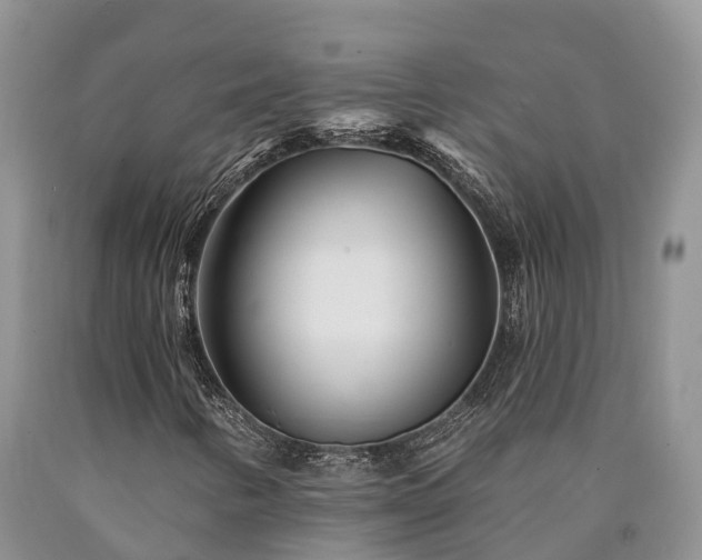 X0000090481346200707201407