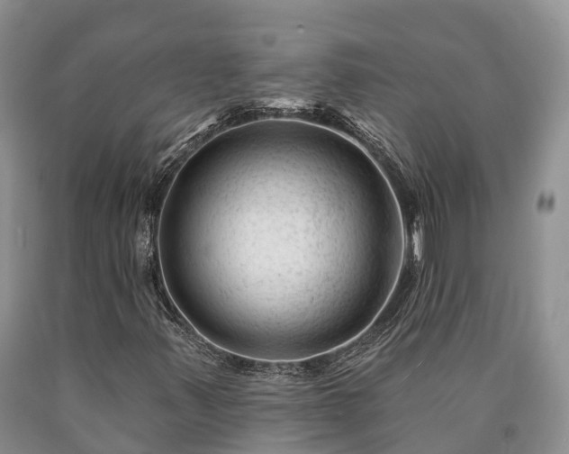 X0000090481347200707201407
