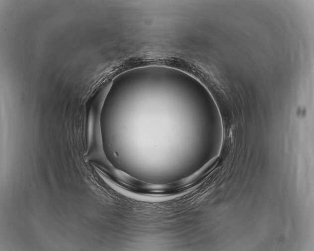 X0000090481348200707201407