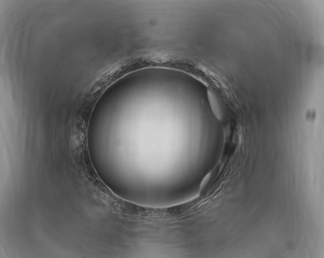 X0000090481349200707201407