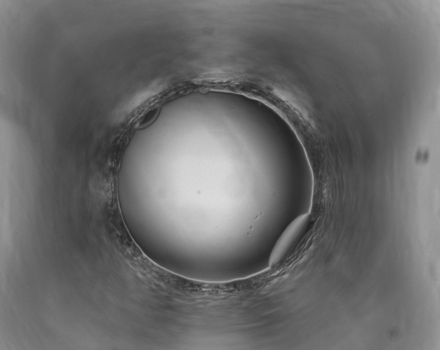 X0000090481350200707201407