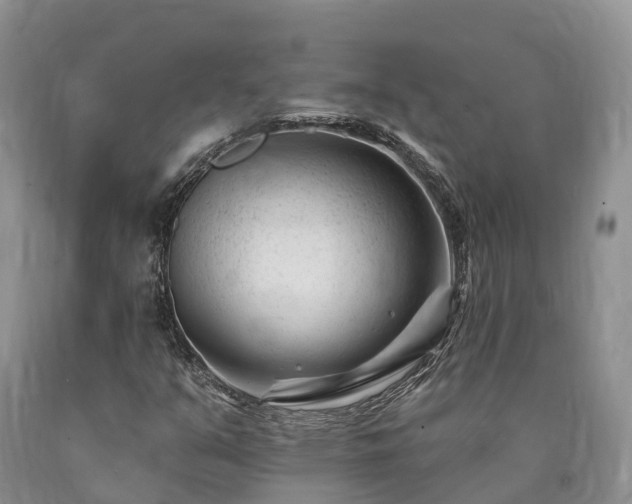 X0000090481351200707201407