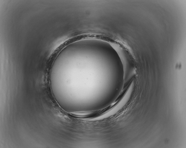 X0000090481352200707201407