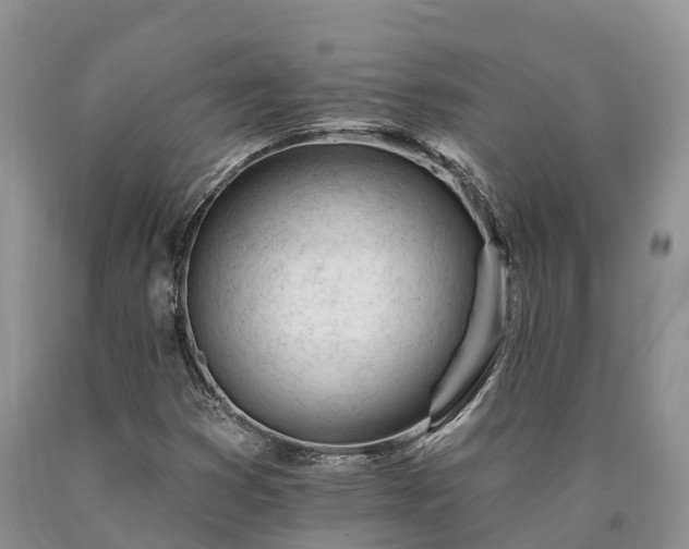 X0000090481353200707201407