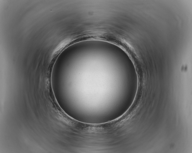 X0000090481354200707201407