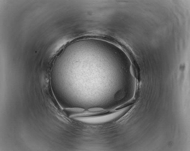 X0000090481355200707201407