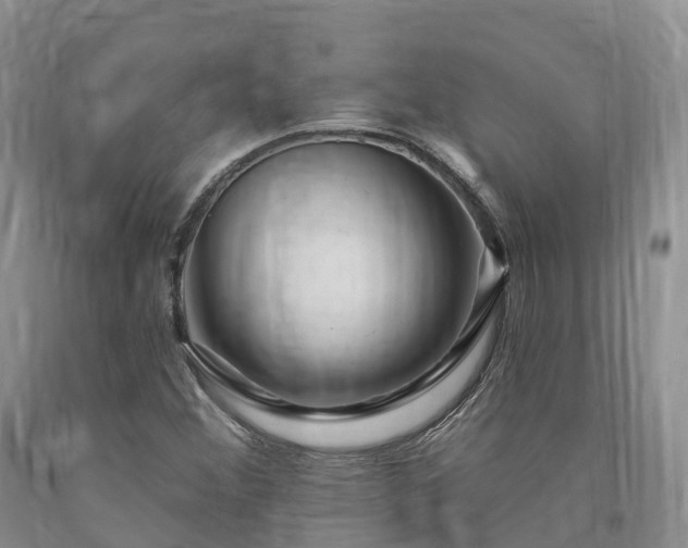 X0000090481356200707201407