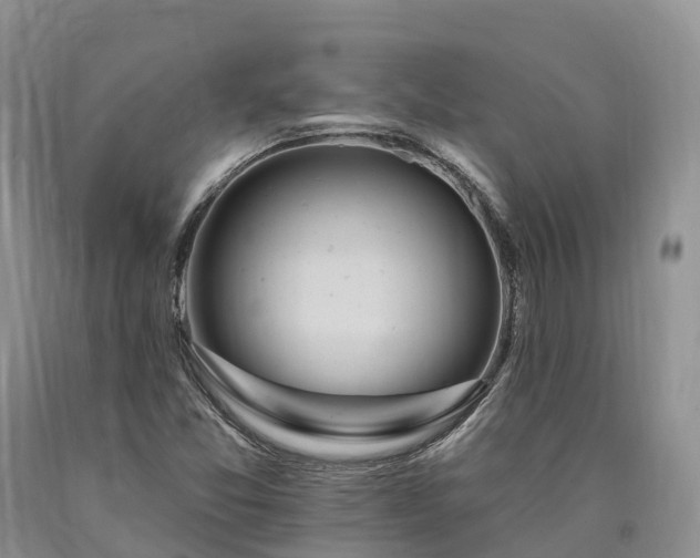 X0000090481357200707201407