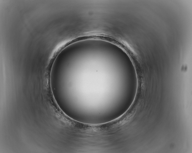 X0000090481358200707201407