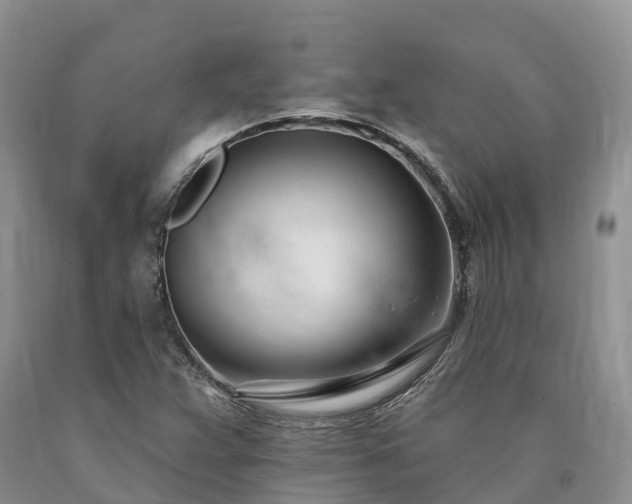X0000090481359200707201407